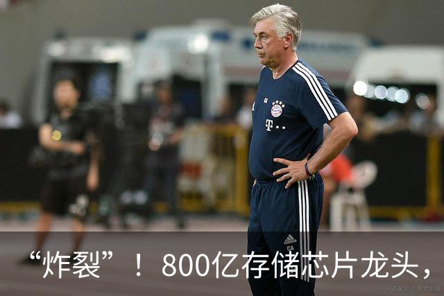 “炸裂”！800亿存储芯片龙头，第三季度净利润增长超2900%