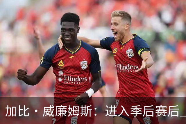 加比·威廉姆斯：进入季后赛后 我珍惜与团队并肩作战的每一刻