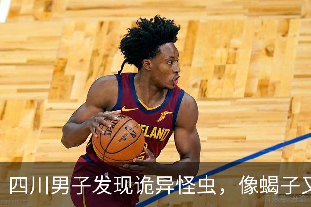 四川男子发现诡异怪虫，像蝎子又像蜘蛛！网友：20年没见过了！