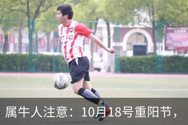 属牛人注意：10月18号重阳节，“值日”的牛，别把自己顶在墙角里