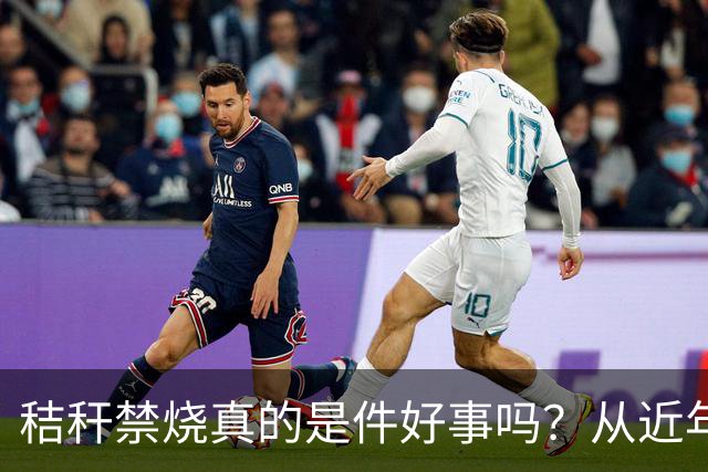秸秆禁烧真的是件好事吗？从近年蚯蚓鸟类和蛇类数量就能看出来