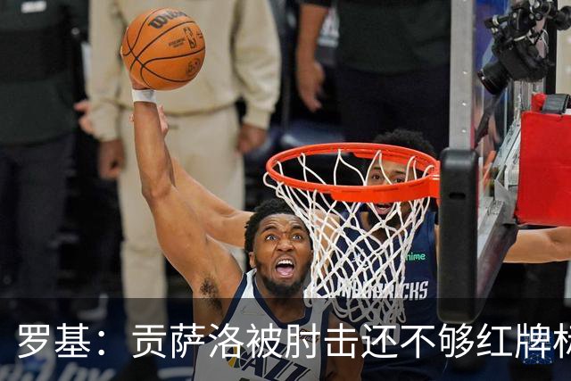 罗基：贡萨洛被肘击还不够红牌标准，但这个动作对球员有危险